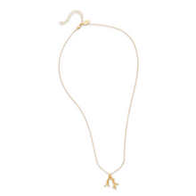 Load image into Gallery viewer, Coral Necklace

